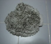 IMG_6256.JPG