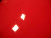 spots3.jpg