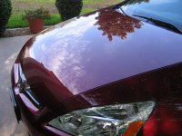 Killer Accord 40%.JPG