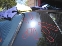 IMG_3670[1].jpg