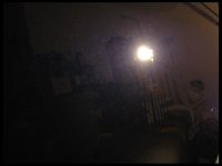IMG_3221_resized.jpg