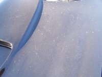 100_3333.jpg
