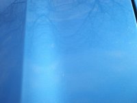 P2050030R2.JPG
