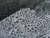 waterbead.jpg