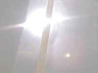 06032008539.jpg