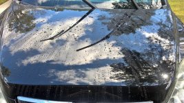 WP_20160219_11_03_31_Pro.jpg