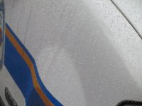 tn_IMG_10821.jpg