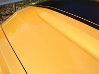 IMG_1675.jpeg