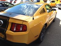 IMG_1743.jpeg