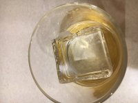 IMG_2239.JPG