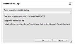 embedvid2.jpg
