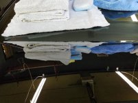 SPS Reflection Trunk.jpg