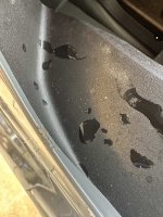 IMG_5116.jpeg