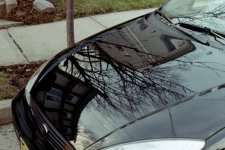 focus hood2.jpg