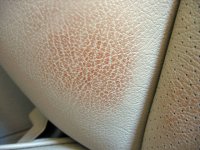 E320BeltSeat.jpg