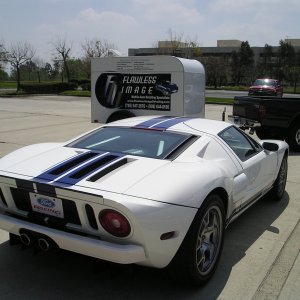 Bad Ford!