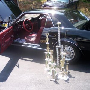 mustang side