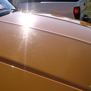 Truck Hood