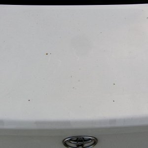 Before-1999_Trunk_Lid-8