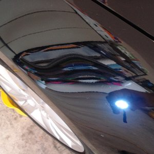Denver Polished 09