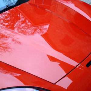 Vette 10