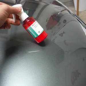 DSCF2219