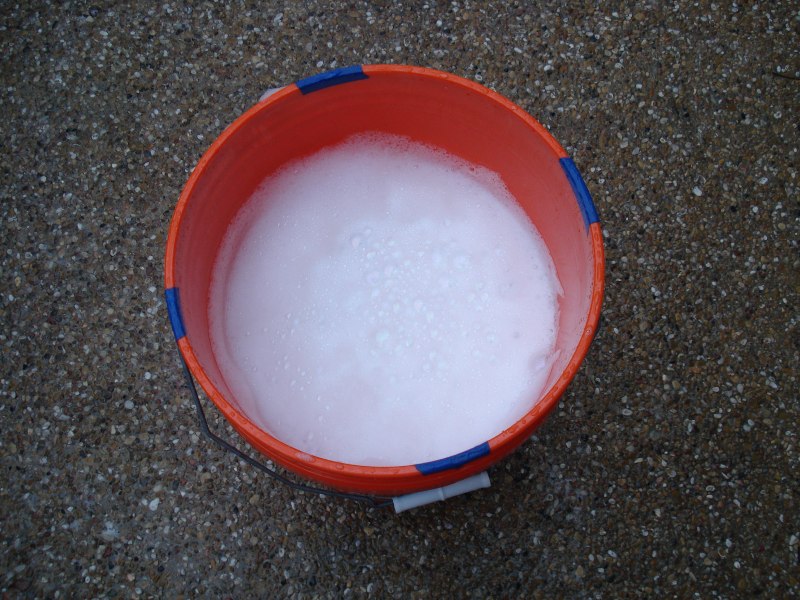 BF WDCS Rinse After