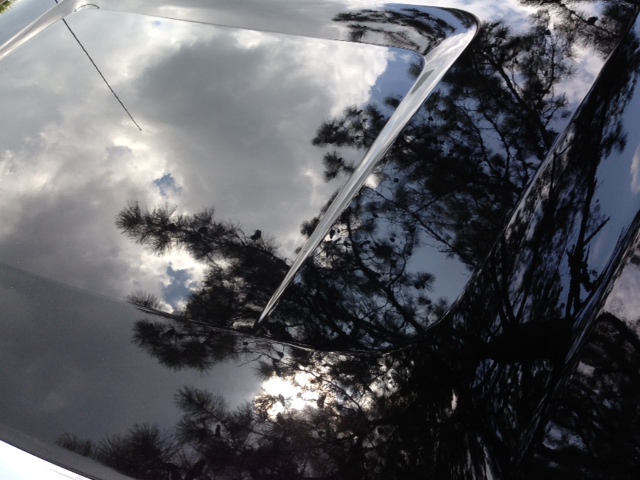 Hood_Gloss_2