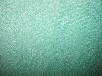 IMG_1024.JPG
