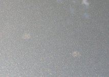 IMG_0456.JPG