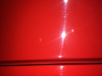 IMG_1352.jpg