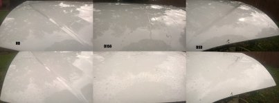 WEEK 9 ALL. RINSE AND SHOWER SHOTS..jpg