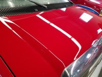 V17_Hood.jpg