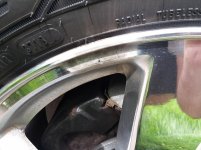 20190831_152122.jpg