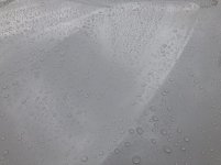 6BB9D963-81BD-4D0C-BF21-69F4B66E9FCB.jpeg