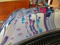 machine buffed bonnet.JPG