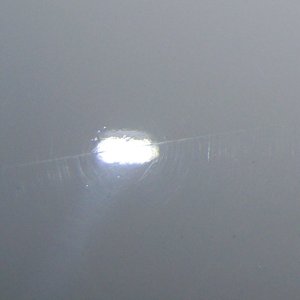 100_1036